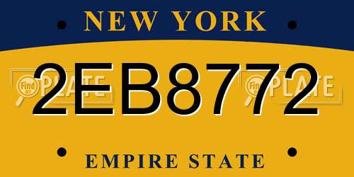 2EB8772 New York License Plate