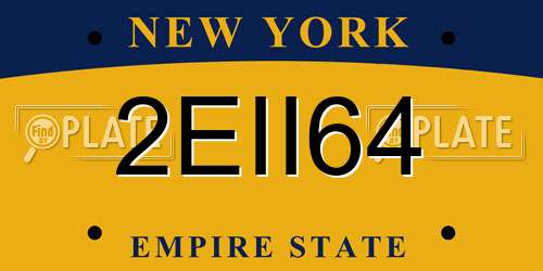 2EII64 New York License Plate