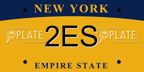 2ES New York License Plate