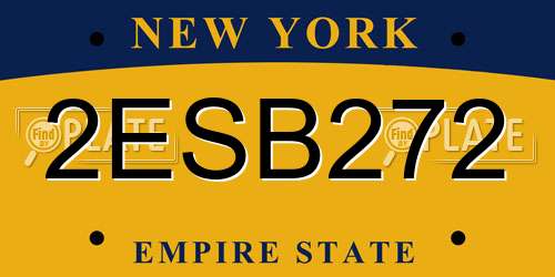2ESB272 New York License Plate