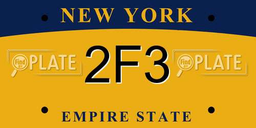 2F3 New York License Plate