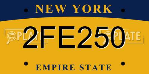 2FE250 New York License Plate
