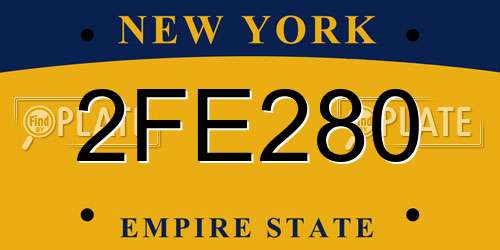 2FE280 New York License Plate