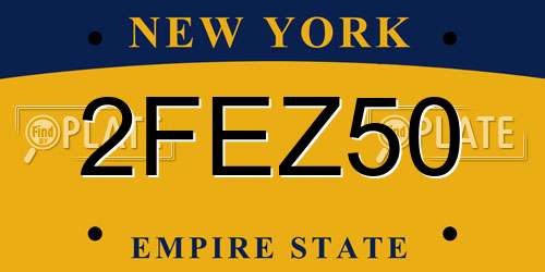 2FEZ50 New York License Plate