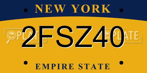 2FSZ40 New York License Plate