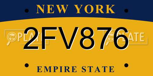 2FV876 New York License Plate