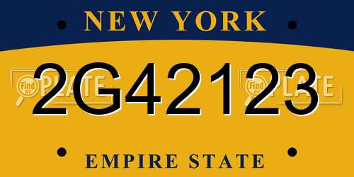 2G42123 New York License Plate
