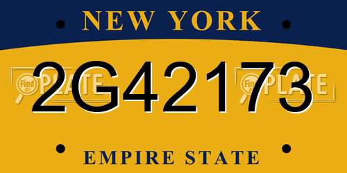 2G42173 New York License Plate
