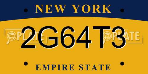 2G64T3 New York License Plate