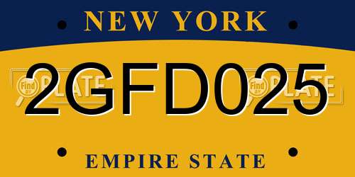 2GFD025 New York License Plate