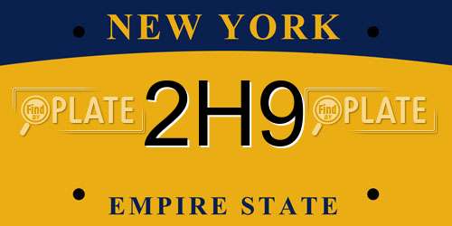 2H9 New York License Plate