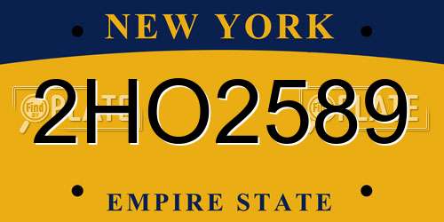 2HO2589 New York License Plate