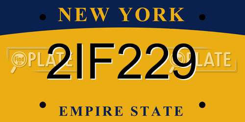 2IF229 New York License Plate