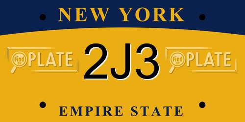 2J3 New York License Plate