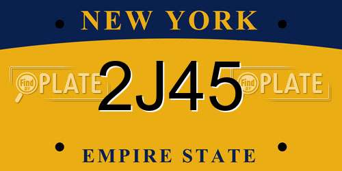 2J45 New York License Plate