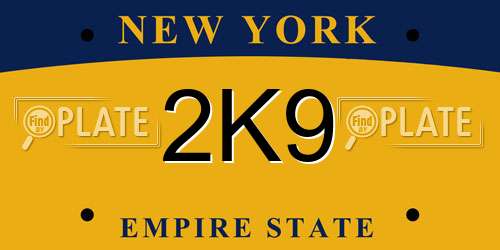 2K9 New York License Plate