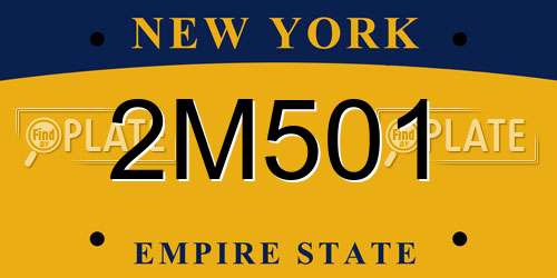 2M501 New York License Plate