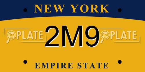 2M9 New York License Plate