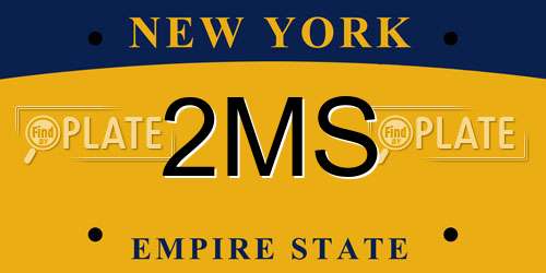 2MS New York License Plate