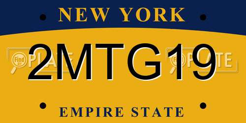 2MTG19 New York License Plate