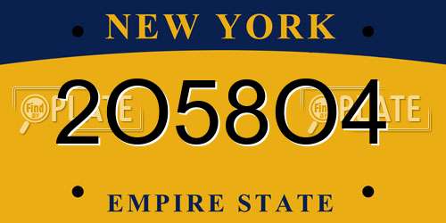 2O58O4 New York License Plate