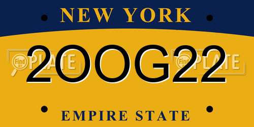 2OOG22 New York License Plate