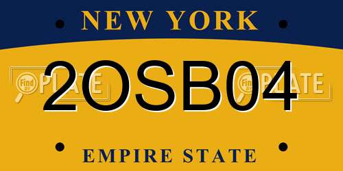2OSB04 New York License Plate