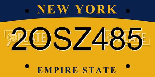 2OSZ485 New York License Plate