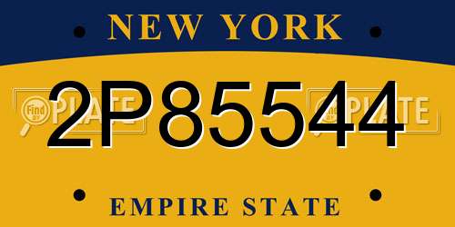 2P85544 New York License Plate