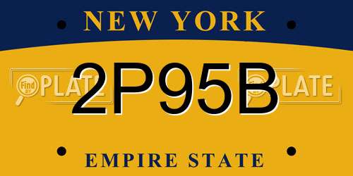 2P95B New York License Plate