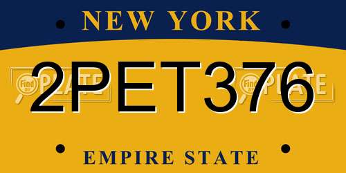 2PET376 New York License Plate