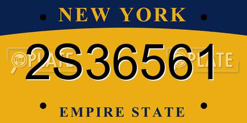 2S36561 New York License Plate