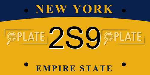 2S9 New York License Plate