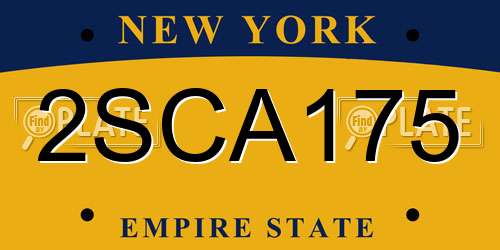 2SCA175 New York License Plate