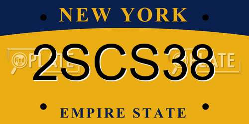 2SCS38 New York License Plate