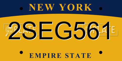2SEG561 New York License Plate