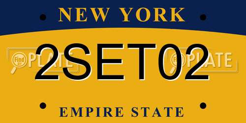 2SET02 New York License Plate