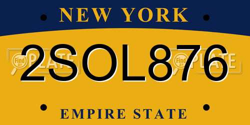 2SOL876 New York License Plate