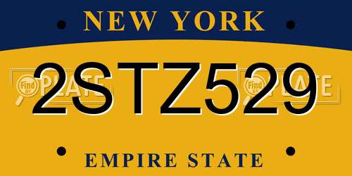 2STZ529 New York License Plate