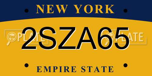 2SZA65 New York License Plate