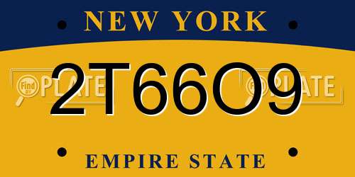 2T66O9 New York License Plate