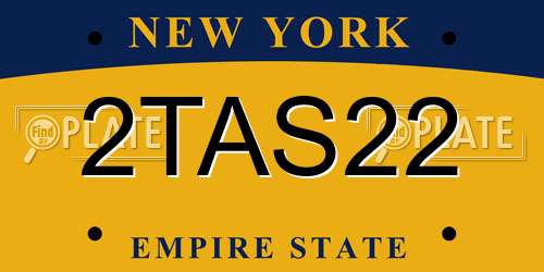 2TAS22 New York License Plate