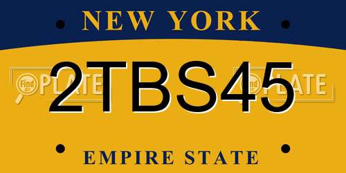 2TBS45 New York License Plate