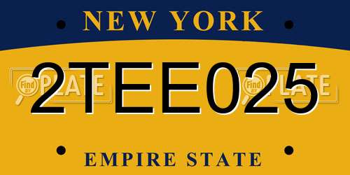 2TEE025 New York License Plate