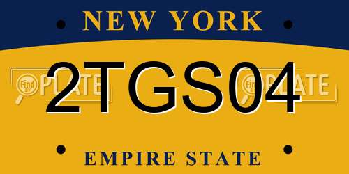 2TGS04 New York License Plate