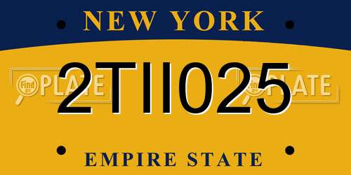 2TII025 New York License Plate