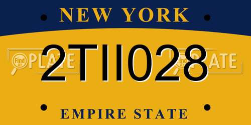 2TII028 New York License Plate