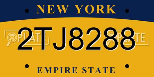 2TJ8288 New York License Plate