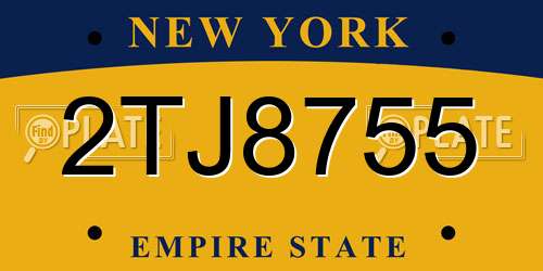 2TJ8755 New York License Plate