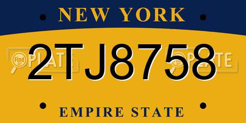 2TJ8758 New York License Plate